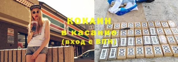 ешки Алексин