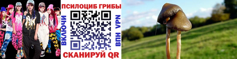 Псилоцибиновые грибы ЛСД  Бавлы 