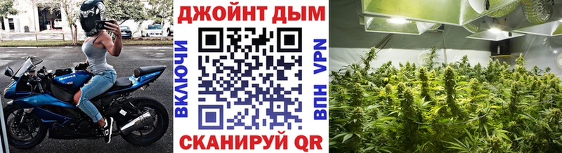 Бошки Шишки планчик  мориарти официальный сайт  Бавлы  сколько стоит 